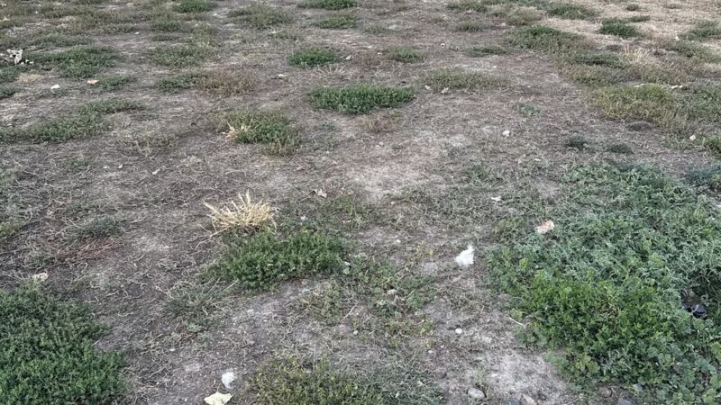 Dog Park at Love's Travel Stops - Bennett, CO