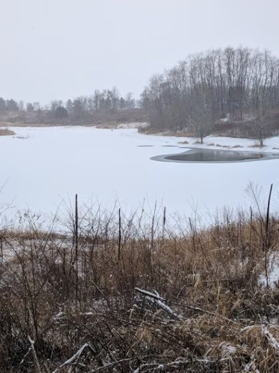 Bennett Park - Bennett, IA