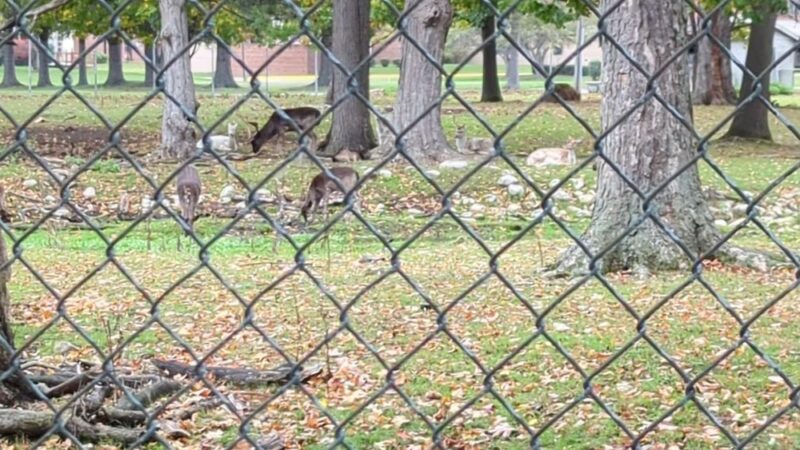 Vermont Veterans Home Deer Park - Bennington, VT