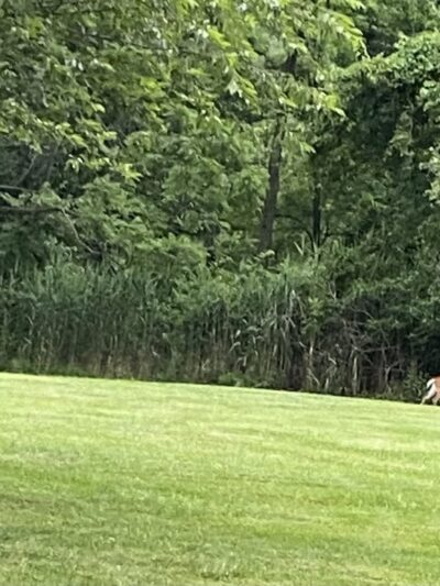 Bensalem Central Park - Bensalem, PA