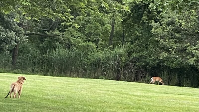Bensalem Central Park - Bensalem, PA