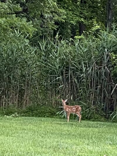 Bensalem Central Park - Bensalem, PA