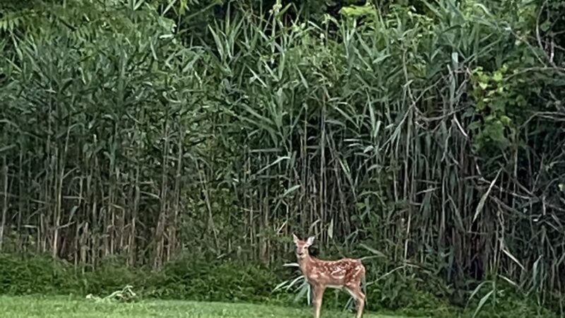 Bensalem Central Park - Bensalem, PA