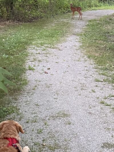 Bensalem Central Park - Bensalem, PA