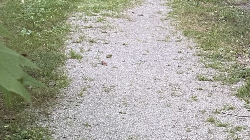 Bensalem Central Park - Bensalem, PA