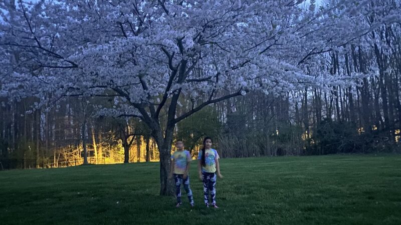 Bensalem Central Park - Bensalem, PA