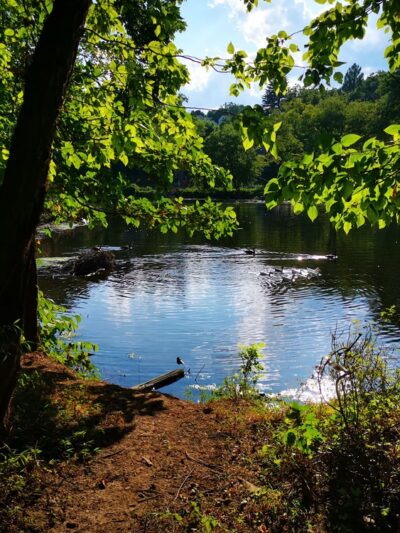 Neshaminy Mountain Biking Trail Center - Bensalem, PA