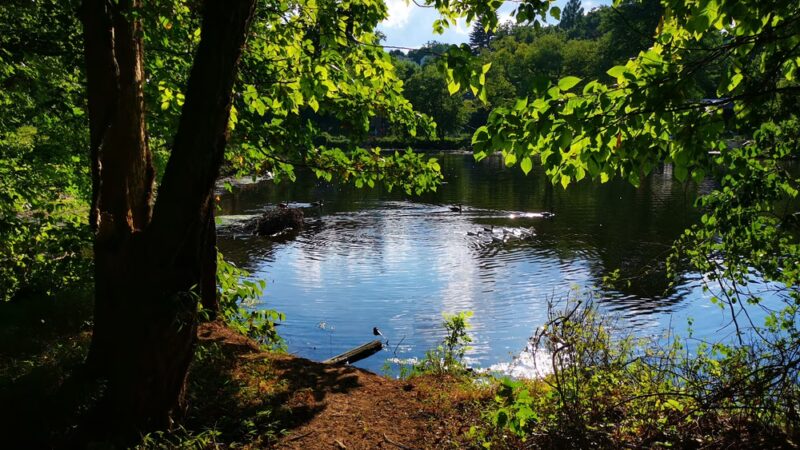 Neshaminy Mountain Biking Trail Center - Bensalem, PA