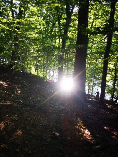 Neshaminy Mountain Biking Trail Center - Bensalem, PA