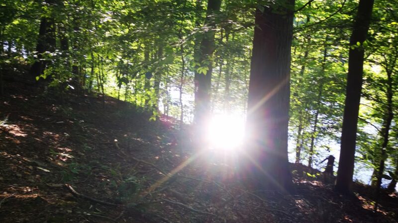 Neshaminy Mountain Biking Trail Center - Bensalem, PA