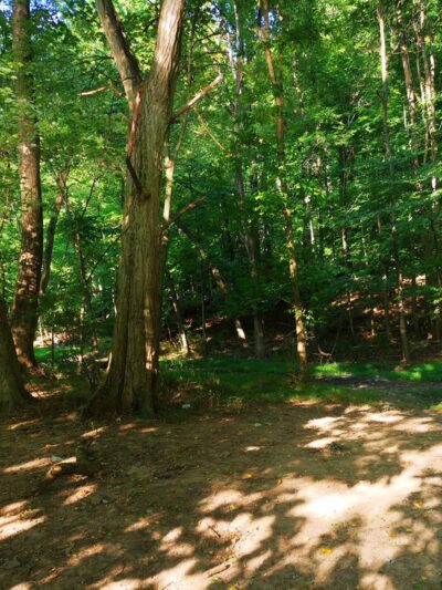 Neshaminy Mountain Biking Trail Center - Bensalem, PA