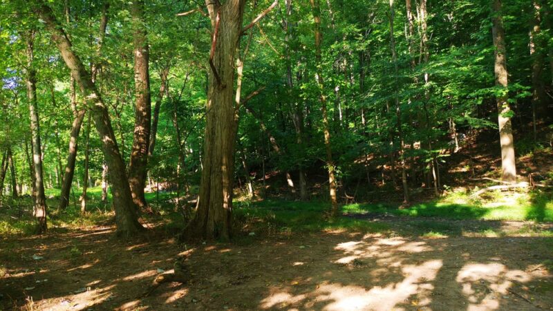 Neshaminy Mountain Biking Trail Center - Bensalem, PA