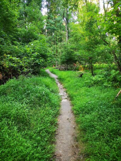 Neshaminy Mountain Biking Trail Center - Bensalem, PA