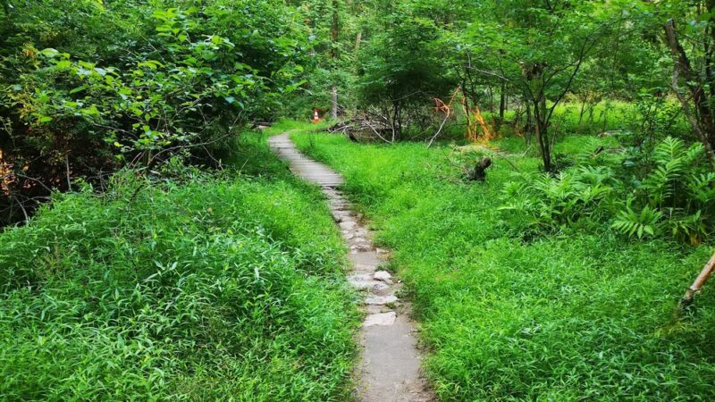 Neshaminy Mountain Biking Trail Center - Bensalem, PA