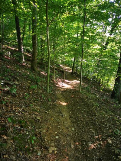 Neshaminy Mountain Biking Trail Center - Bensalem, PA