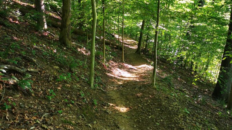 Neshaminy Mountain Biking Trail Center - Bensalem, PA