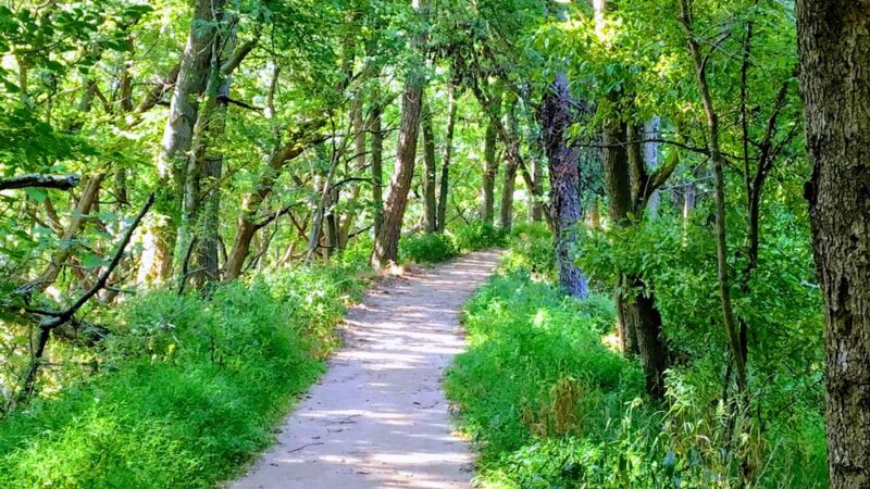 Neshaminy State Park - Bensalem, PA