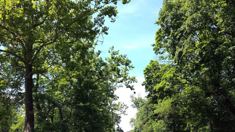 Newport Park - Bensalem, PA