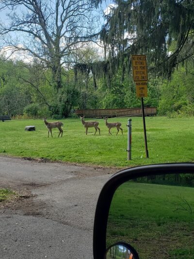Newport Park - Bensalem, PA