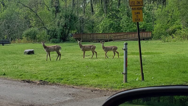 Newport Park - Bensalem, PA