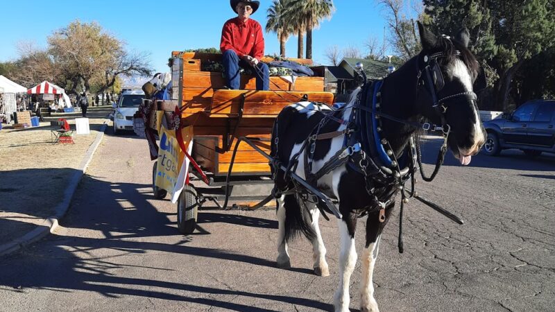 Apache Park - Benson, AZ