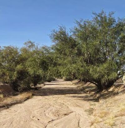 Valley Vista RV Resort - Benson, AZ