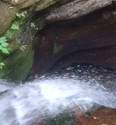 Adams Falls at Ricketts Glen - Benton, PA