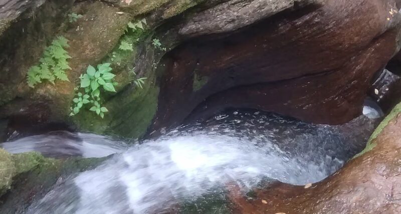 Adams Falls at Ricketts Glen - Benton, PA
