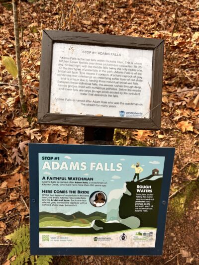 Adams Falls at Ricketts Glen - Benton, PA