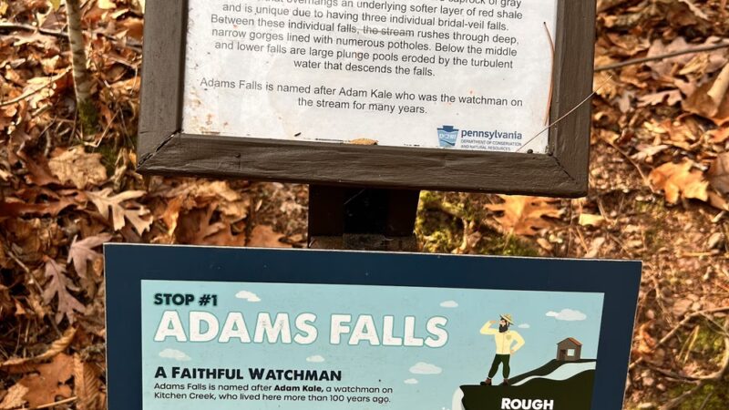 Adams Falls at Ricketts Glen - Benton, PA