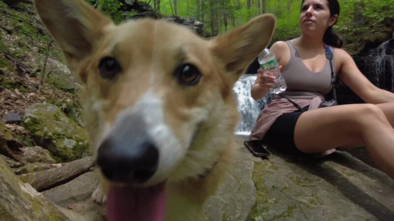 Ricketts Glen State Park - Benton, PA