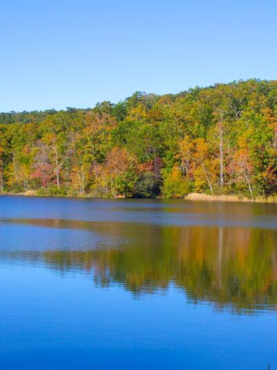 Chilhowee Recreation Area - Benton, TN
