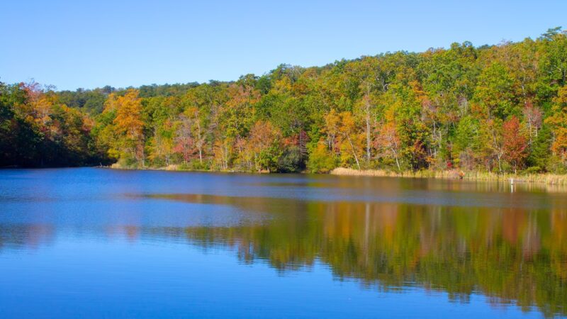 Chilhowee Recreation Area - Benton, TN