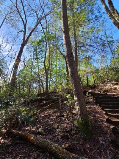 Benton Falls Trailhead - Benton, TN