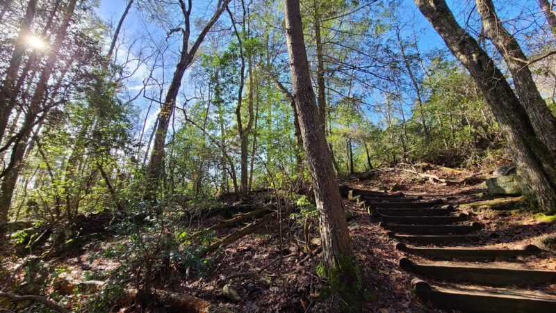 Benton Falls Trailhead - Benton, TN