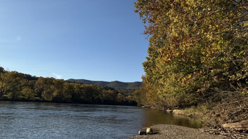 Bluebell and River Trails - Bentonville, VA