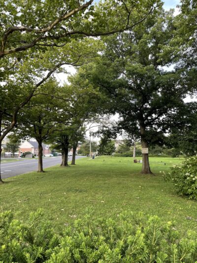 Peppertown Park - Berkeley Heights, NJ