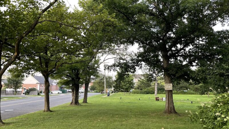 Peppertown Park - Berkeley Heights, NJ