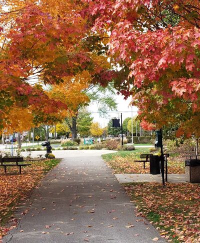 Berkeley Park District Building - Berkeley, IL
