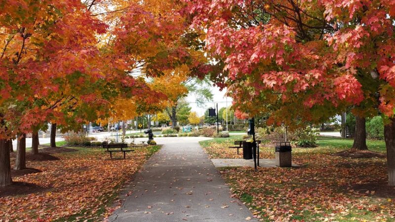 Berkeley Park District Building - Berkeley, IL