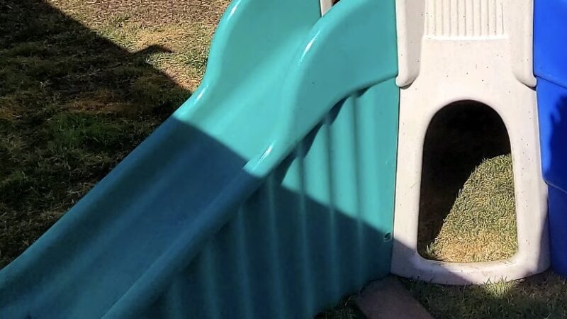 Happy Trails Pet Care - Berkley, MA