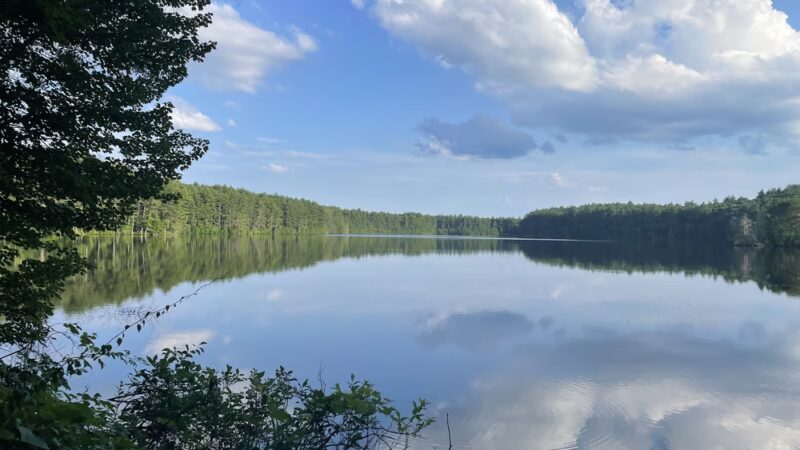 Gates Pond Reservoir Loop Trail - Berlin, MA