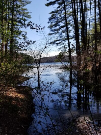 Gates Pond Reservoir Loop Trail - Berlin, MA