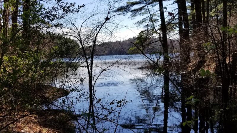 Gates Pond Reservoir Loop Trail - Berlin, MA