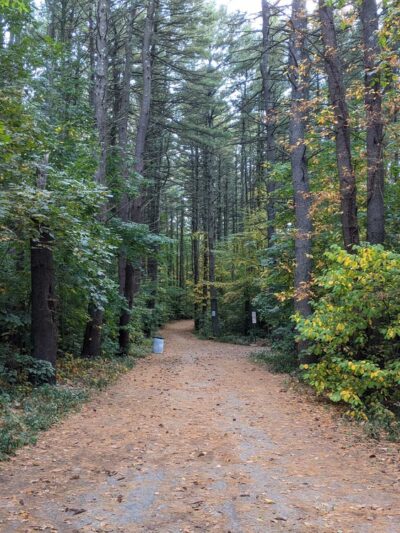 Gates Pond Reservoir Loop Trail - Berlin, MA