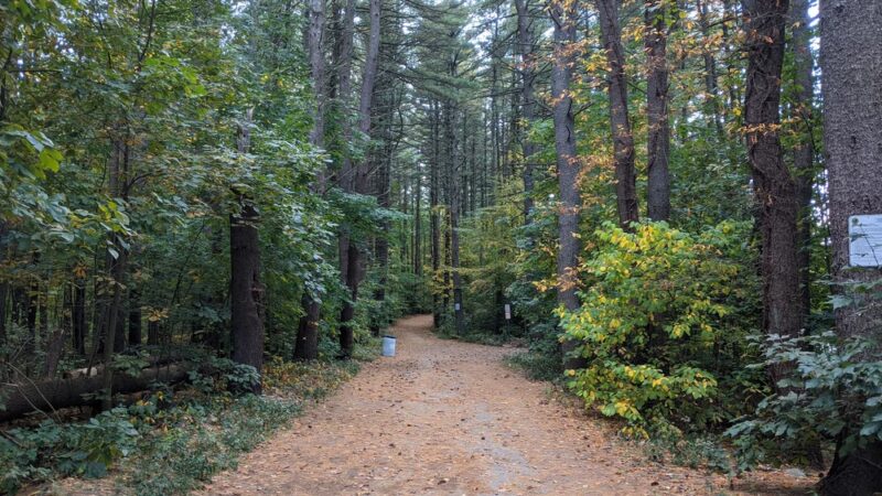 Gates Pond Reservoir Loop Trail - Berlin, MA