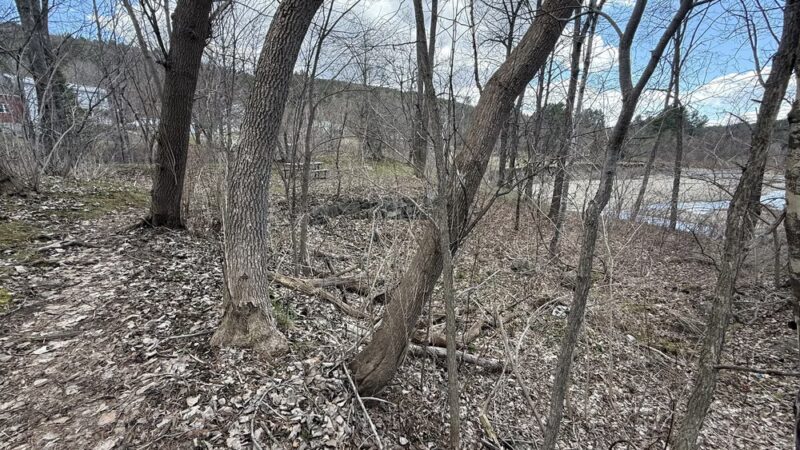 Dog River Natural Area - Berlin, VT