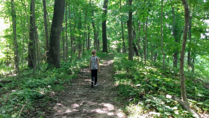 Whitewater Canyon Wildlife Management Area - Bernard, IA