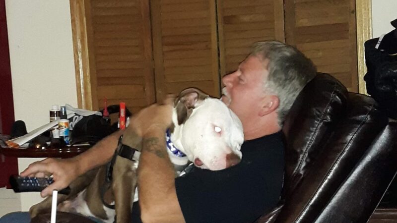 Clarke County Animal Shelter - Berryville, VA