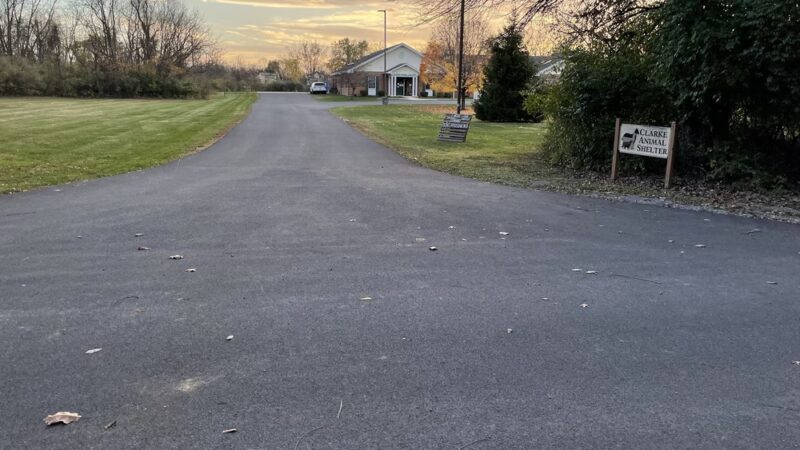 Clarke County Animal Shelter - Berryville, VA